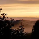Koszysta