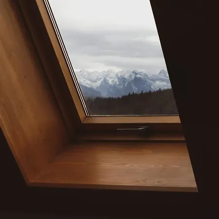 Koszysta بوكافينا تترايسكا