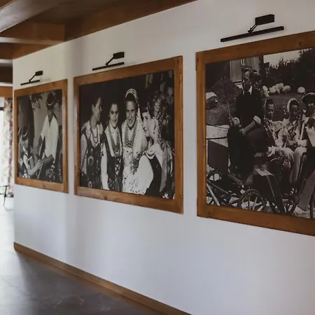 بيت ضيافة Koszysta