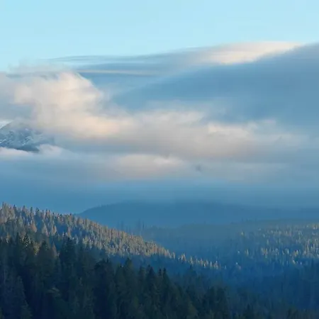 Koszysta ブコビナ・タトシャンスカ